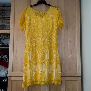 NWT MSLG Goldenrod Lace Dress